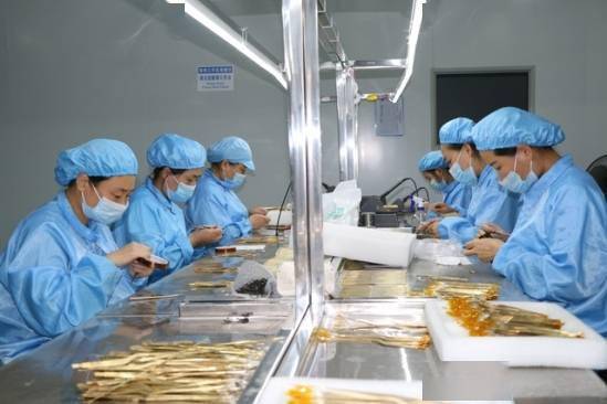 建設50億級產業集群 郟縣傾力打造中部地區知名醫用耗材產銷地