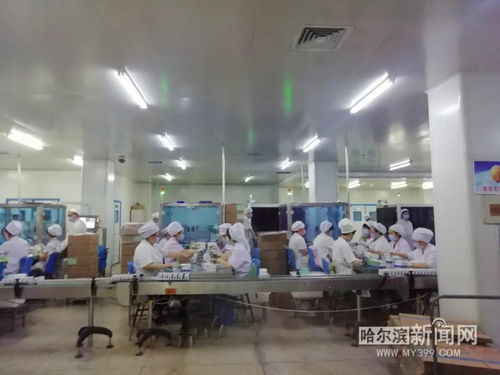 保供抗疫藥品 挑戰(zhàn)防護用品生產,哈藥復工 大陣仗