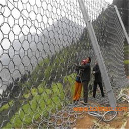 邊坡防護(hù)網(wǎng)施工費(fèi)用明細(xì) gps2型邊坡防護(hù)網(wǎng),邊坡防護(hù)網(wǎng)施工費(fèi)用明細(xì) gps2型邊坡防護(hù)網(wǎng)生產(chǎn)廠家,邊坡防護(hù)網(wǎng)施工費(fèi)用明細(xì) gps2型邊坡防護(hù)網(wǎng)價格
