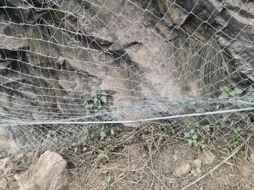 大慶鋼絲繩產(chǎn)品防護(hù)網(wǎng)生產(chǎn)廠家