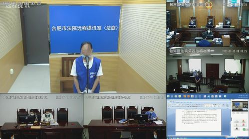 13人獲刑 安徽伯爵莊園 養老詐騙案宣判